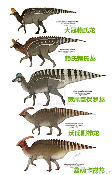 恐龙名字中文版图片