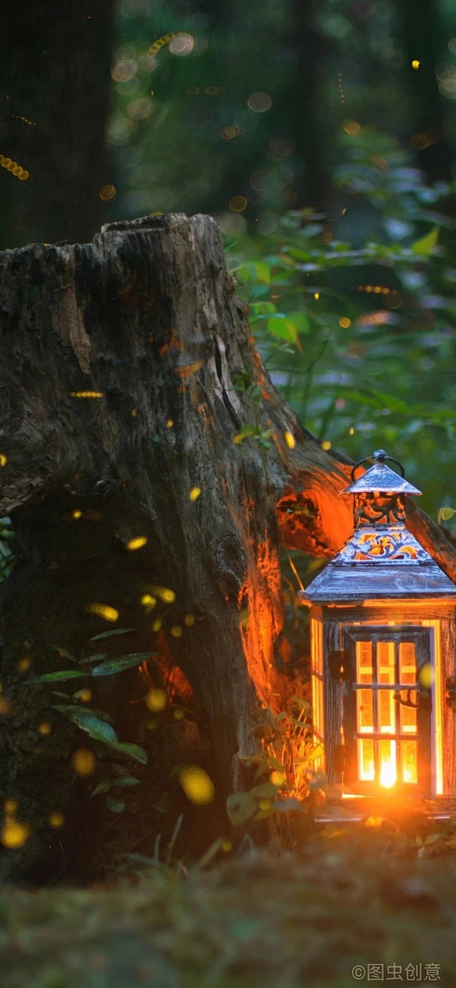 colourfulsoul从″若秋风画扇转采于2020-11-07 15:49:27萤火虫01创意