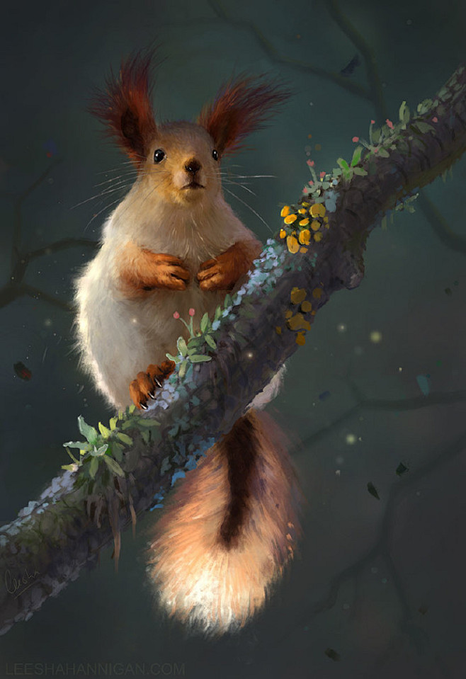 澳大利亚插画师leeshahannigan萌萌哒的动物主题作品