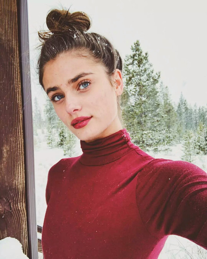 taylorhill