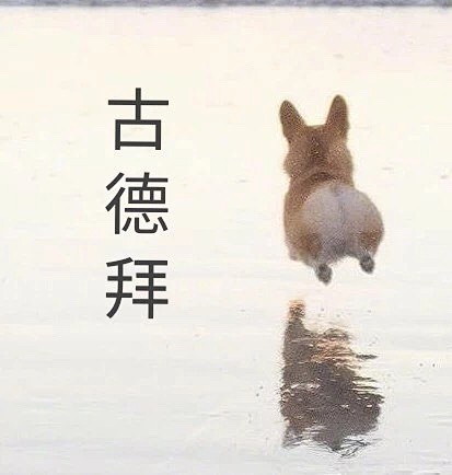 我来了姐妹们br土味表情包br沙雕表情包br萌宠表情包