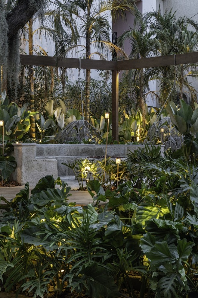 10:25:51巴西热带雨林中的"基础花园",08 evelyn muller植物设计
