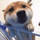 aaFvoRZf