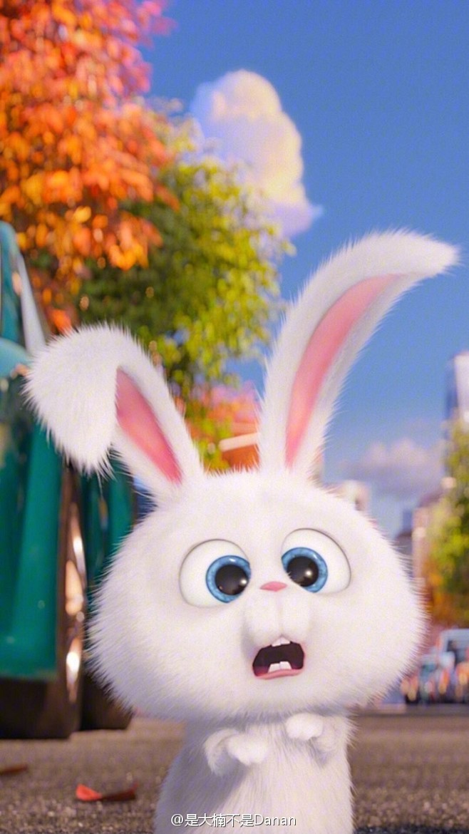 爱宠大作战雪球兔老大