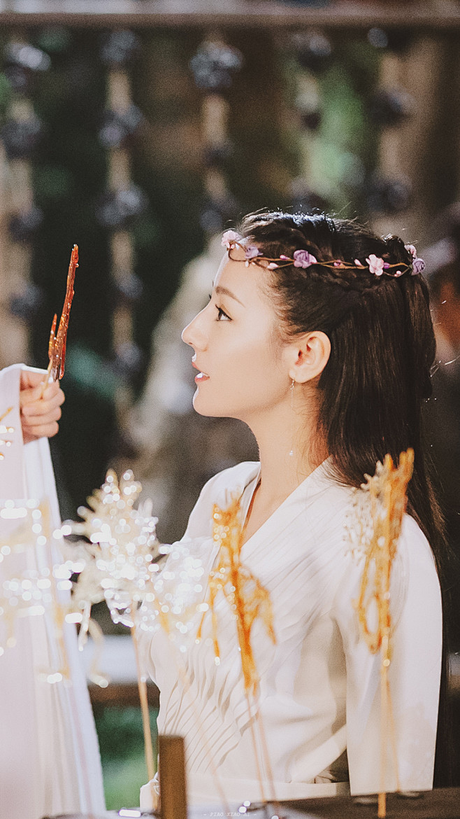 青丘帝姬白凤九