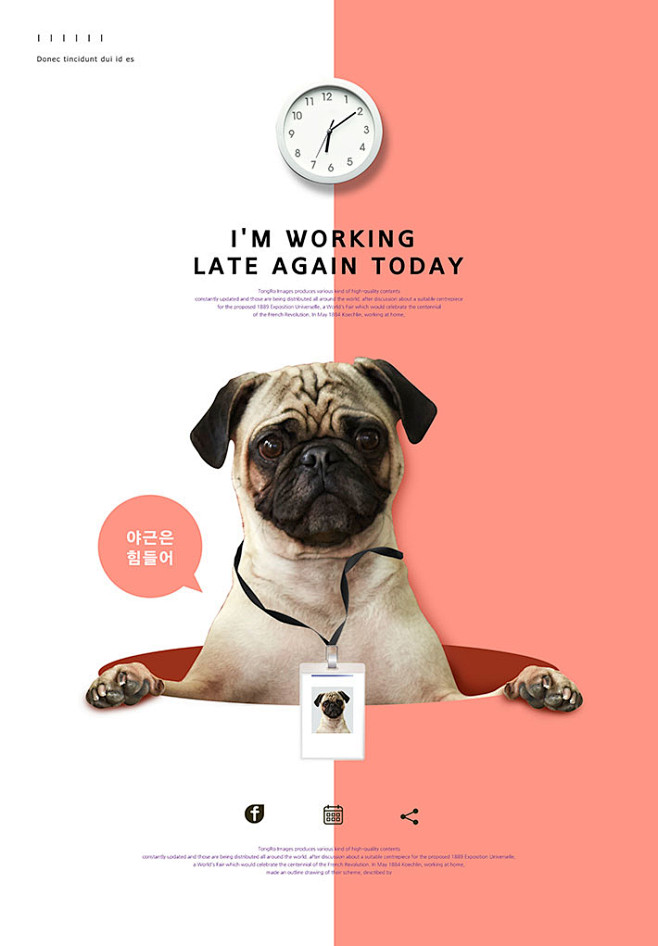 可爱卡通风格宠物宣传海报