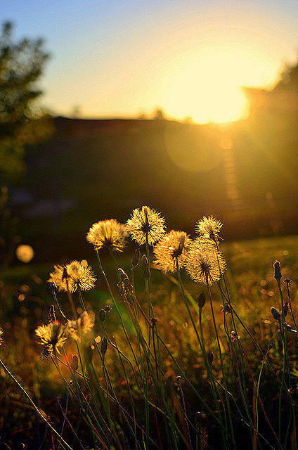 如果看到前面的阴影别害怕那是因为你的背后有阳光