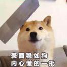 saga酱酱