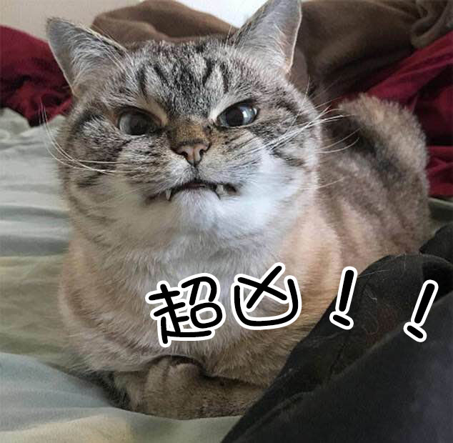 卡人呐卡卡不卡