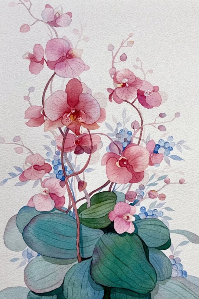 叶子小水彩蝴蝶兰