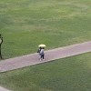 银杏有想法