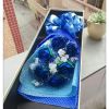 设计师蒋小鱼