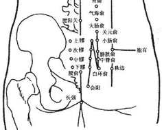 总腱环形成一种强力的束缚,将各块眼外肌的后端紧紧地绞在一起,以