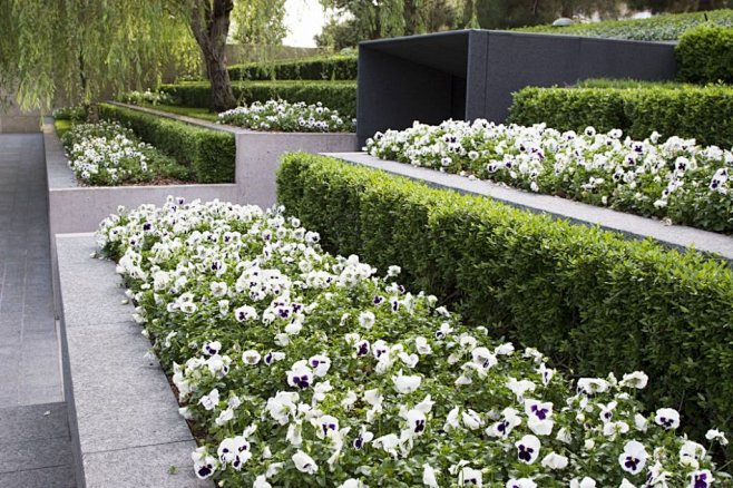 跌级花池处理竖向高差