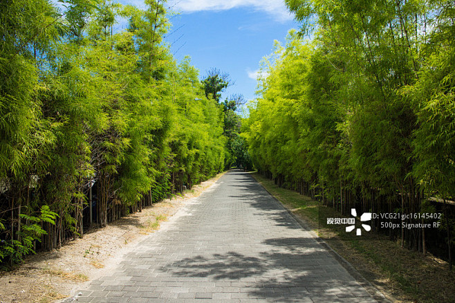 13:59:19林荫道图片素材道路景观0_0sunny1900同采自www