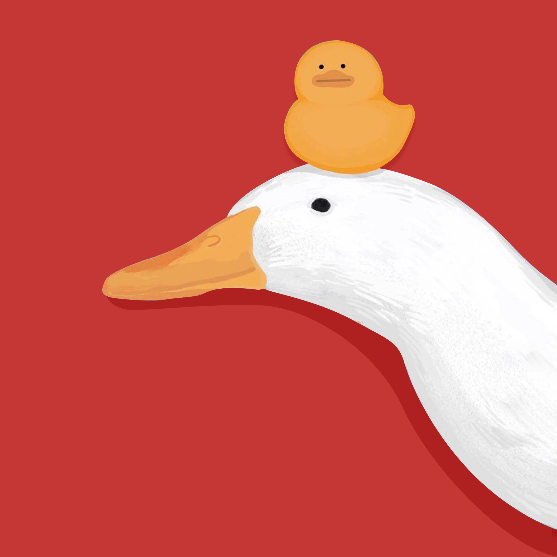 Swan-Duck