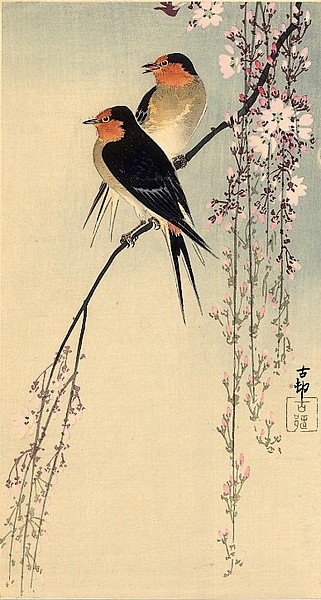 小原古邨日本绘画作品