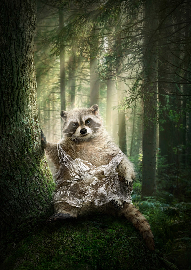 v0887动物合成11501620px