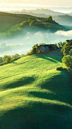 森林-花瓣网|陪你做生活的设计师 | dj31aw2bcb2a _微信 背景图_t20