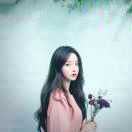 叶子开花