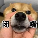 汪酱23333
