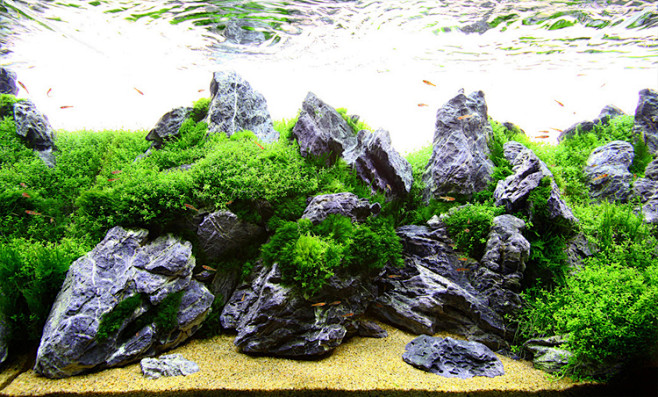 青龙石造景草缸造景鱼缸装饰定制造景超白鱼缸石景绿茵之地淘宝网