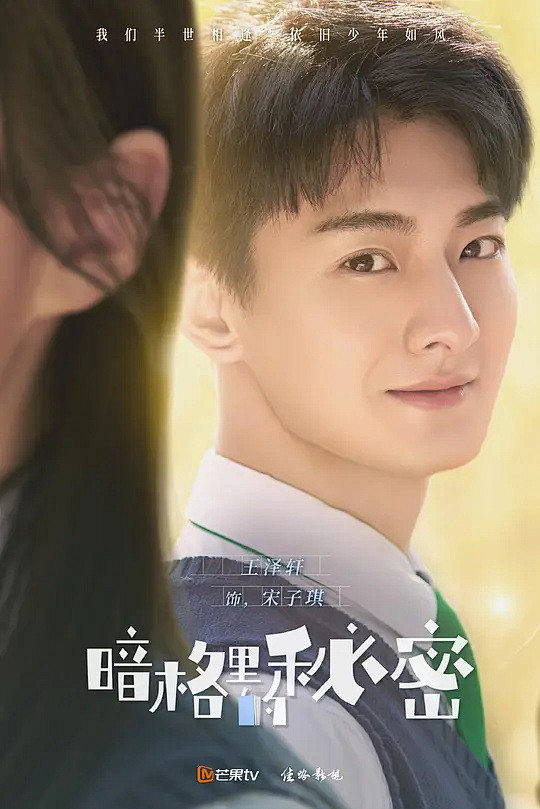 暗格里的秘密海报