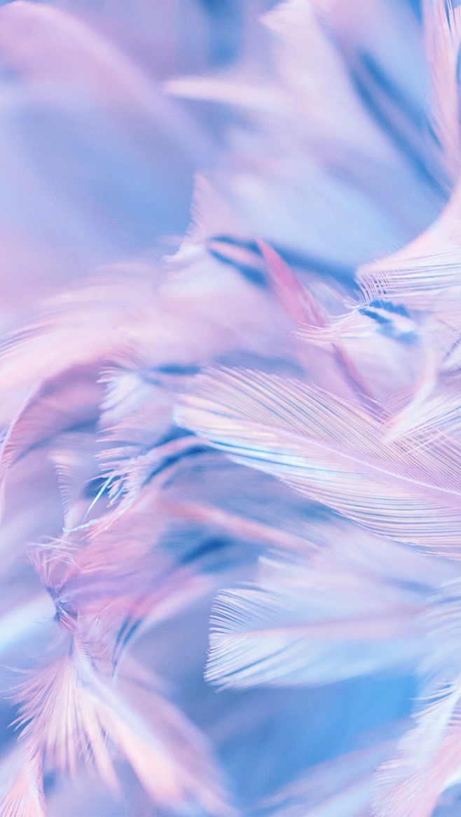 658_1166竖版 竖屏