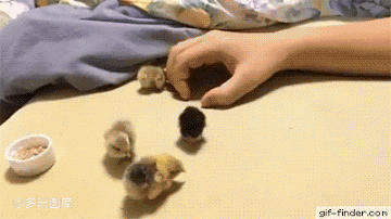 360_202gif 动态图 动图