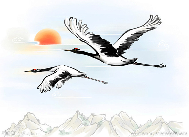 仙鹤飞翔