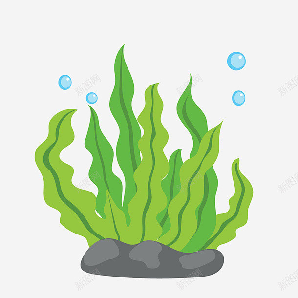 手绘海洋生物海带高清素材免费下载设计图片页面网页平面电商创意素材