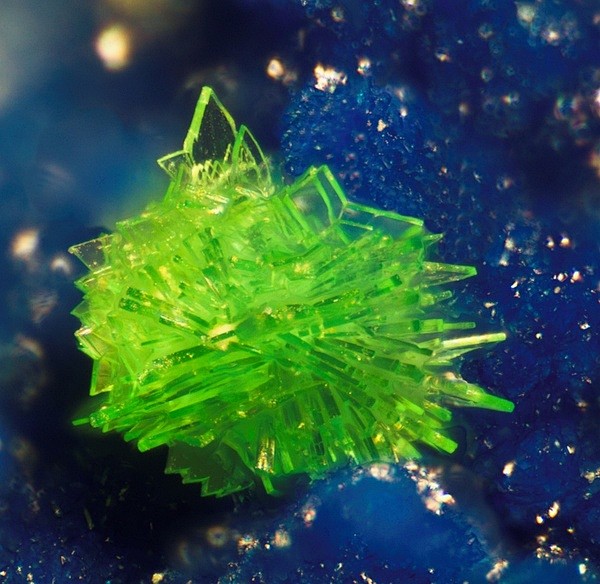 难以置信的绿色晶体cualstibite1m不寻常的色彩为轻微