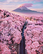Wonders of Japan 的Instagram主页(@wondersofnippon) - Insstar Instagram网页版