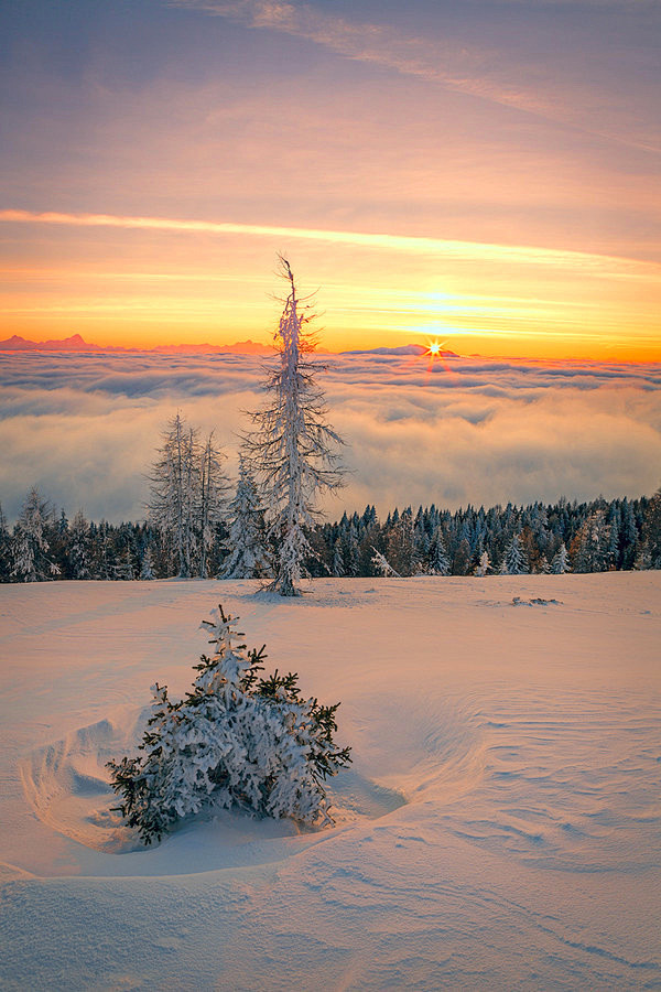 雪景