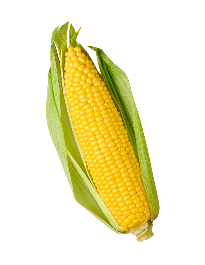 专注电商资源采集玉米png