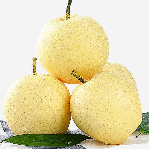 砀山黄梨黄金梨