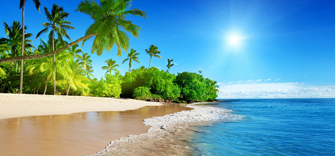 蔚蓝的大海海边沙滩树太阳风景壁纸