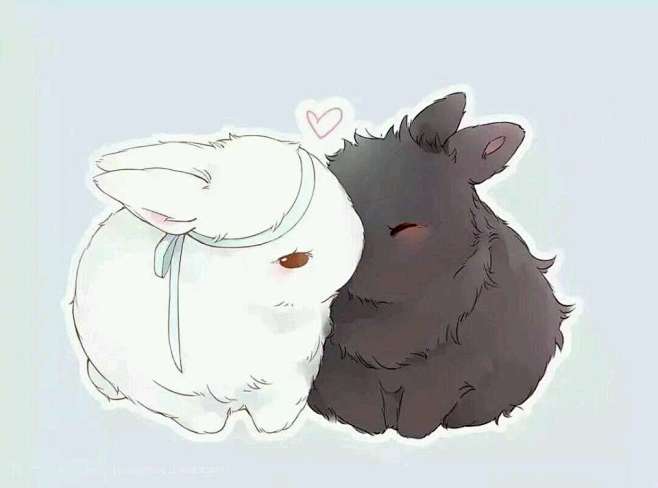 魔道祖师蓝忘机魏无羡兔兔