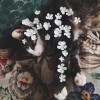 没心眼