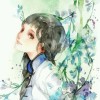 绿眼