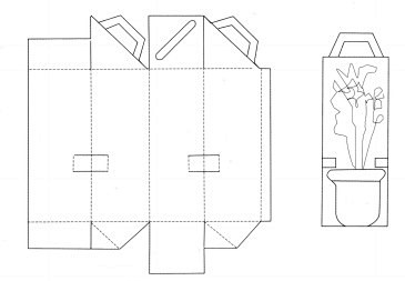 包装设计结构图