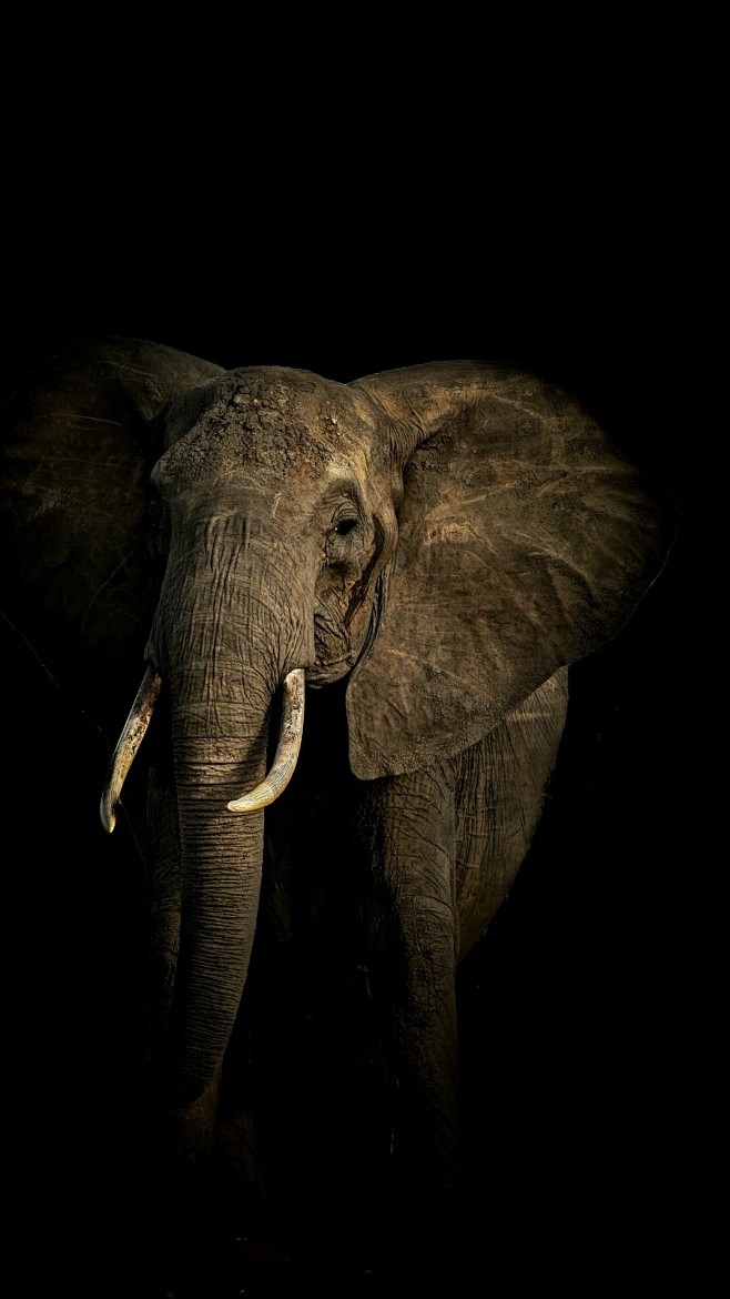 洛洛o(∩_∩)o哈哈从 61转采于2017-01-10 10:05:02来自相册takila