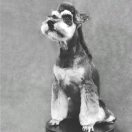 XX-1997
