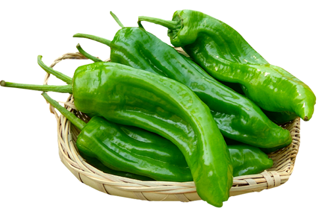 大青椒青椒辣椒png