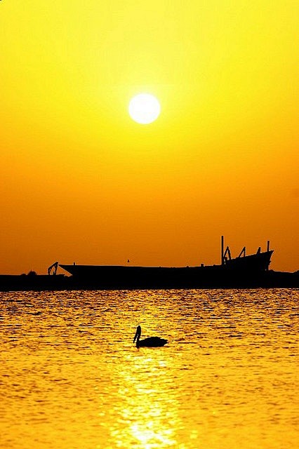 黄色的夕阳