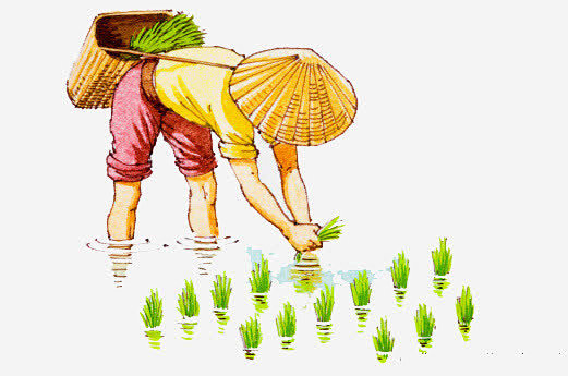 卡通农民插秧