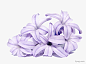 紫色百合花束花束|紫色|百合|花束|百合花|教师花束|手绘花束|矢量花束|花束花藤|鲜花花束|装饰花束|花束卡通鲜花|花束图案|卡通花束|花束玫瑰花|鲜花花束90|清新淡雅花束|百合花束|玫瑰花花束|花束中的兔子|满天星花束|红色花束|花束花朵花卉植物|花束郁金香|花束装饰图案