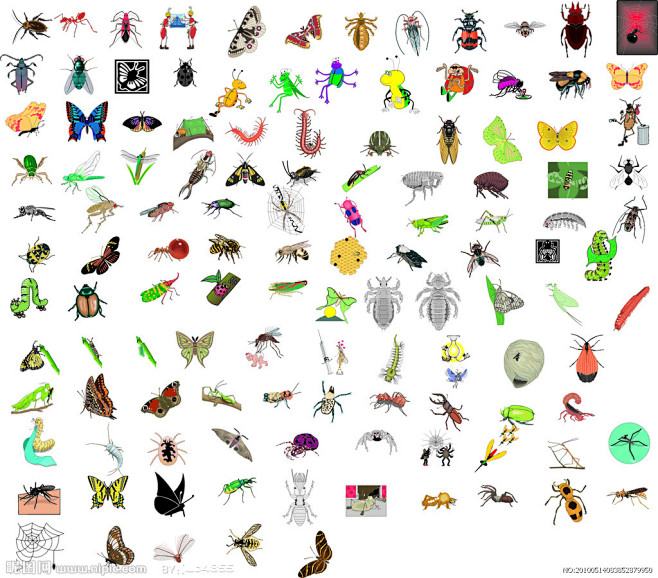 昆虫大全