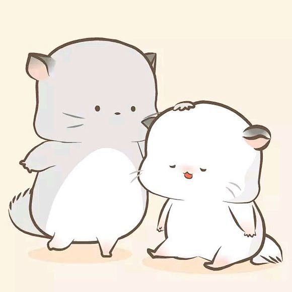 各位吧友谁有那个龙猫四毛的图片啊动图最好微信表情吧百度贴吧