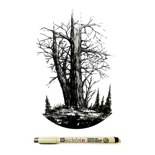 手绘黑白画线描针管笔将自然风景画进几何的艺术来自插画师derekmyers